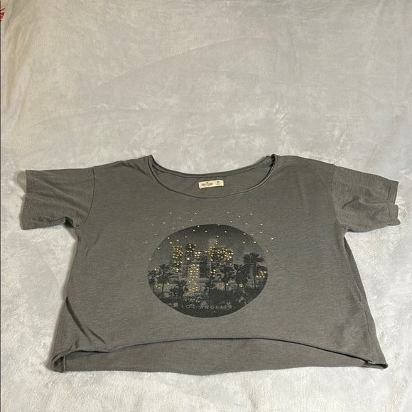 Hollister Gray Short Sleeve Tee with Los Angeles Graphic - Picture 1 of 5